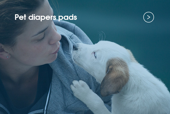 Pet diapers pads